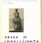 11 novembre